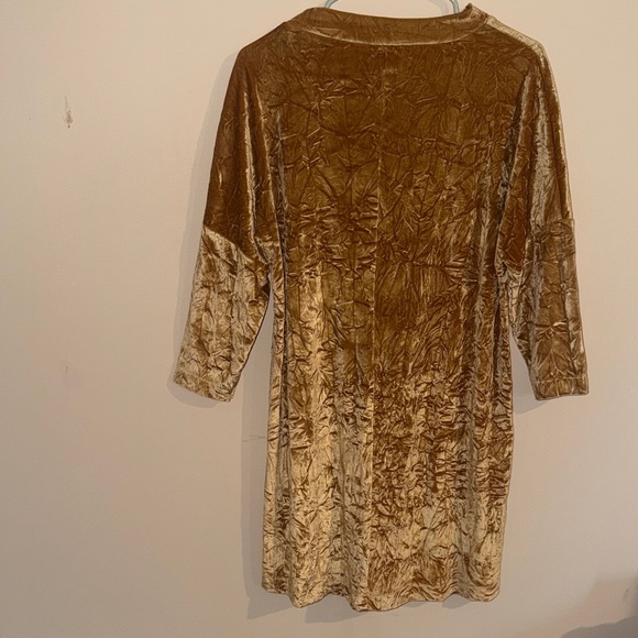 Zara Gold Velvet Long Sleeve Dress - Picture 6 of 6